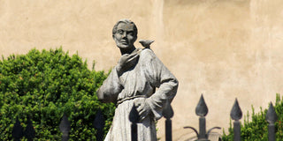 St Francis prayer for animals