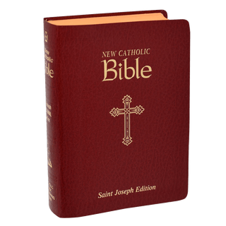 New Catholic Bible