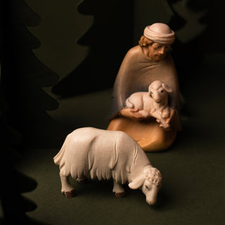 Nativity Scene Set in Carve Wood