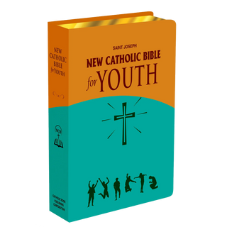 Holy Bible for youth 