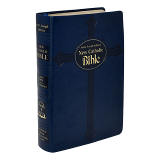 Holy Bible english blue