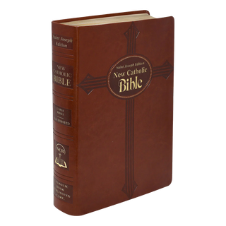 Holy Bible english brown