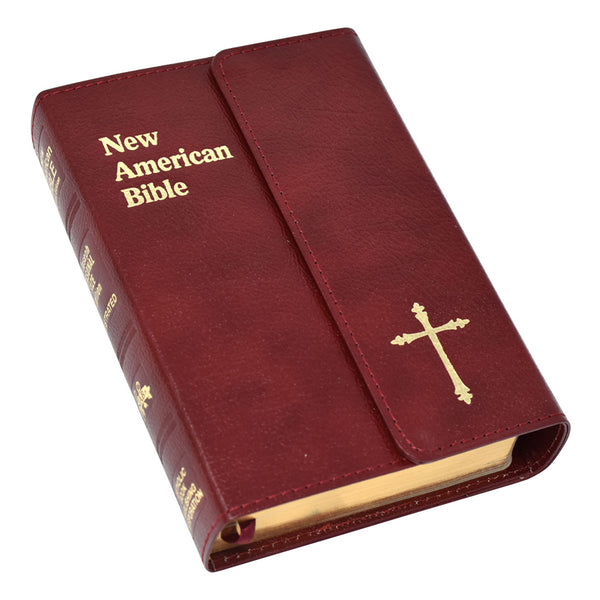 Holy Bible in English